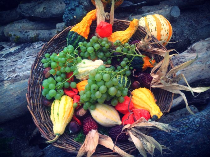 abundance-agriculture-autumn-decoration-265562